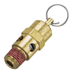 Safety Valve (21-709)